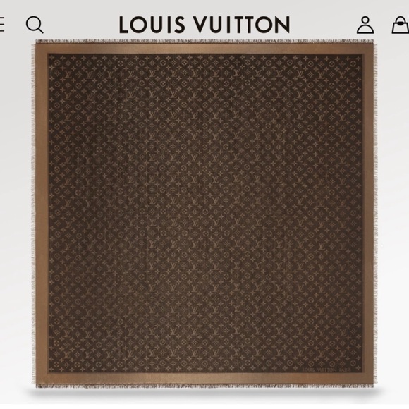 Louis Vuitton Monogram Scarf - Picture 8 of 10